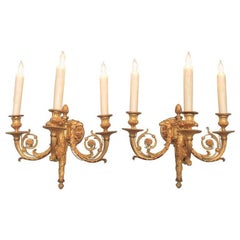 Antique Pair of 19th Century French Empire Bronze Dore Sconces with Exceptional Casting