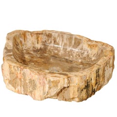 Retro Petrified Wood Sink, Carved & Polished Featuring Warm Tan, Beige & Brown Hues
