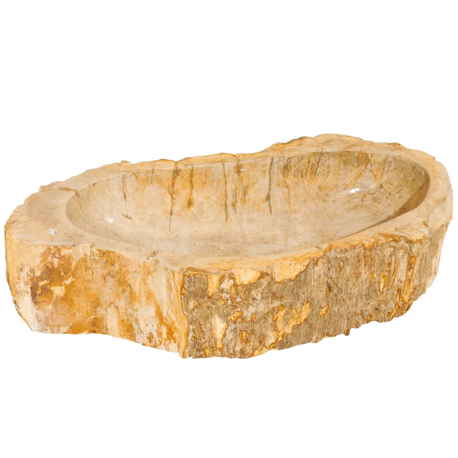 Polished Petrified Wood Sink with Rustic Oblong Shape in Warm Cream & Beige