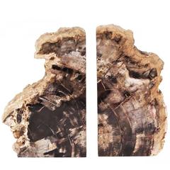 Book End Pair of Made of Polished Petrified Wood