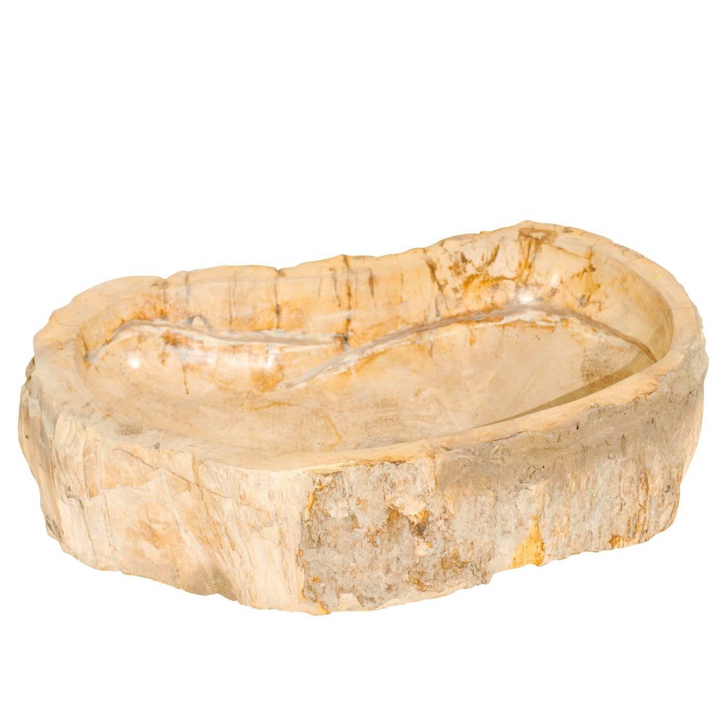An Elegant Kidney-Shaped Polished Petrified Wood Sink with a Live-Edge Surround For Sale