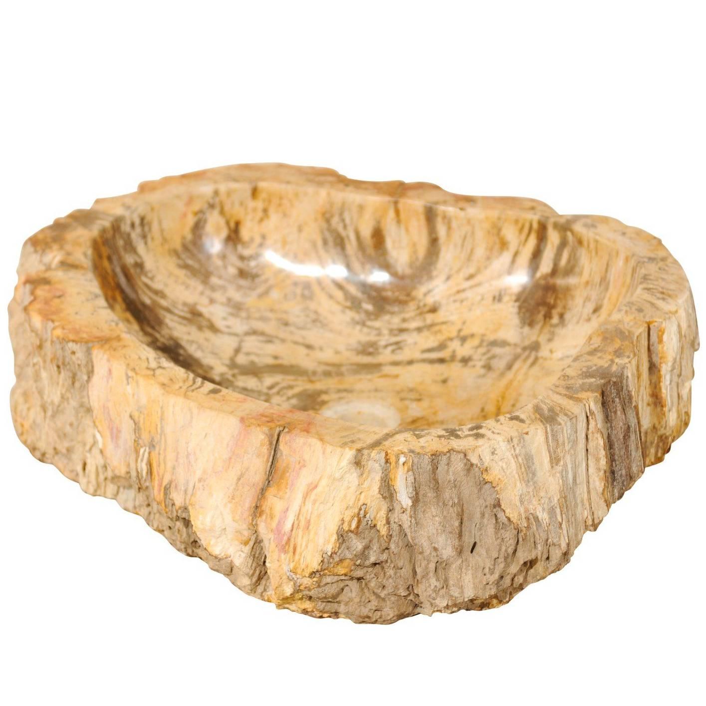 Polished Petrified Wood Sink with Beautiful Coloration and Shape