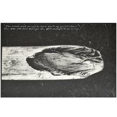 Peter Beard "From the Original End-Game" Photo 12