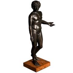 Fine and Rare Grand Tour Patinated Bronze of the Antinous Farnese, 19th Century