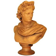 Danish "Grand Tour" Terra Cotta Bust 3