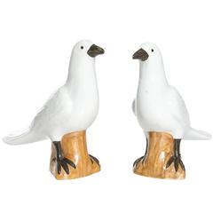 Pair of Porcelain Pigeons 4