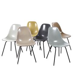 Retro Set of Six Eames DSX Herman Miller, USA Dining Chairs