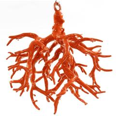 Ceiling Coral Sculpture by Maurizio Epifani