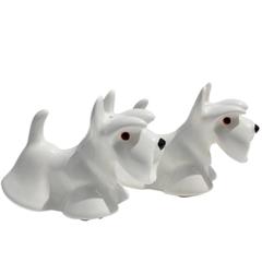 Stunning Blue Witch Salt and Pepper Set Unique Gifts for Terriers Lovers 10