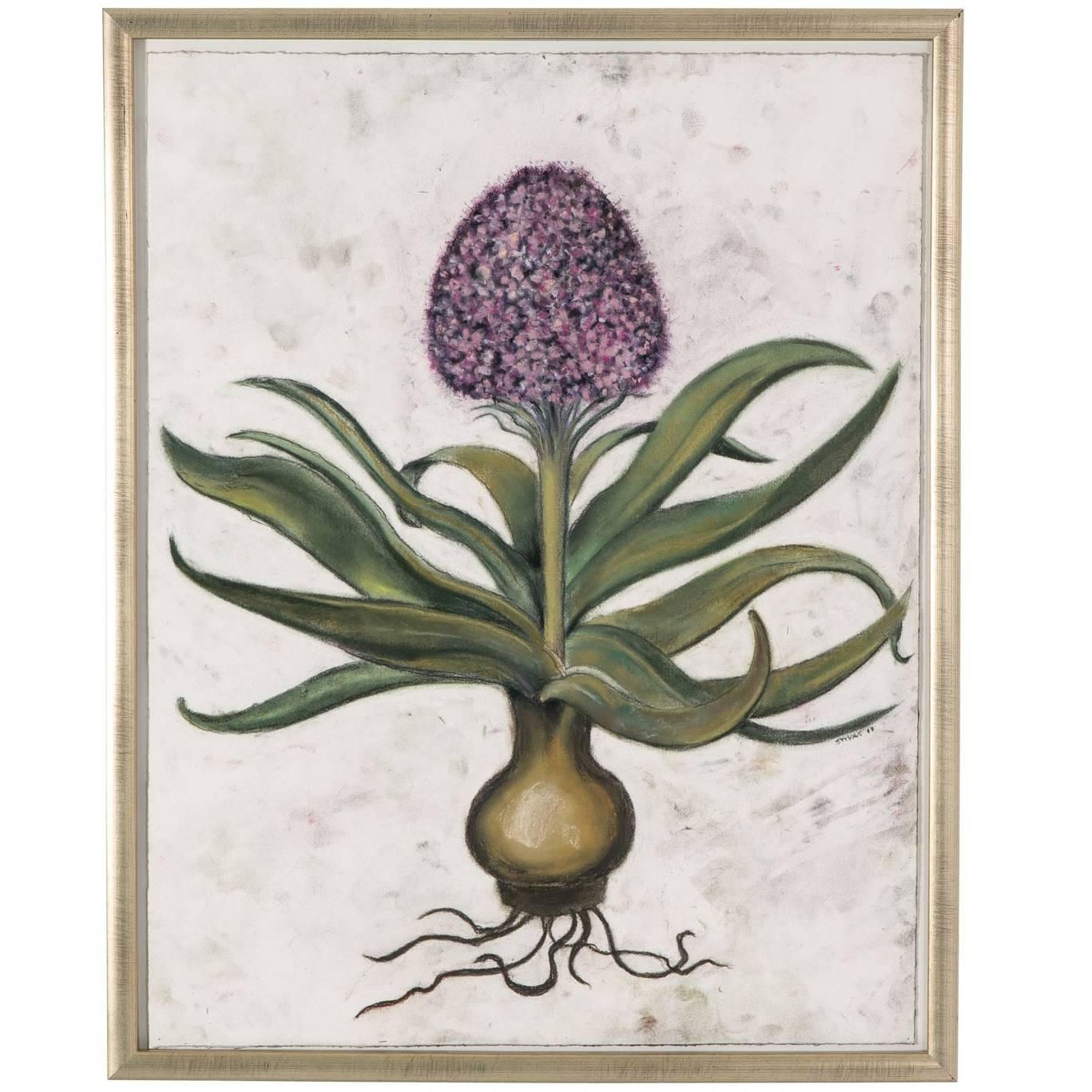 Framed Pastel Pf a Hyacinth For Sale