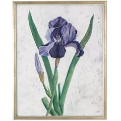 Framed Pastel of an Iris
