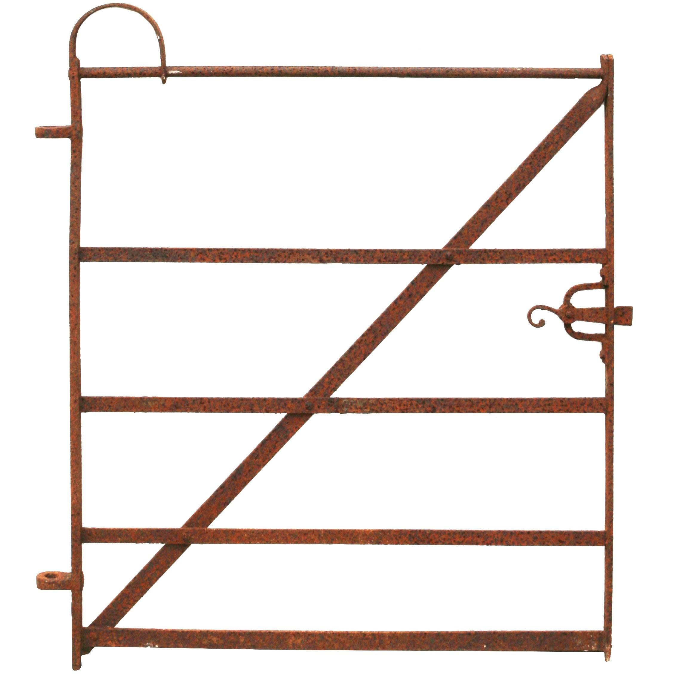 Early 19th Century Wrought Iron Pedestrian Gate