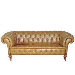Antique Chesterfield Sofa in Olive Green Leather