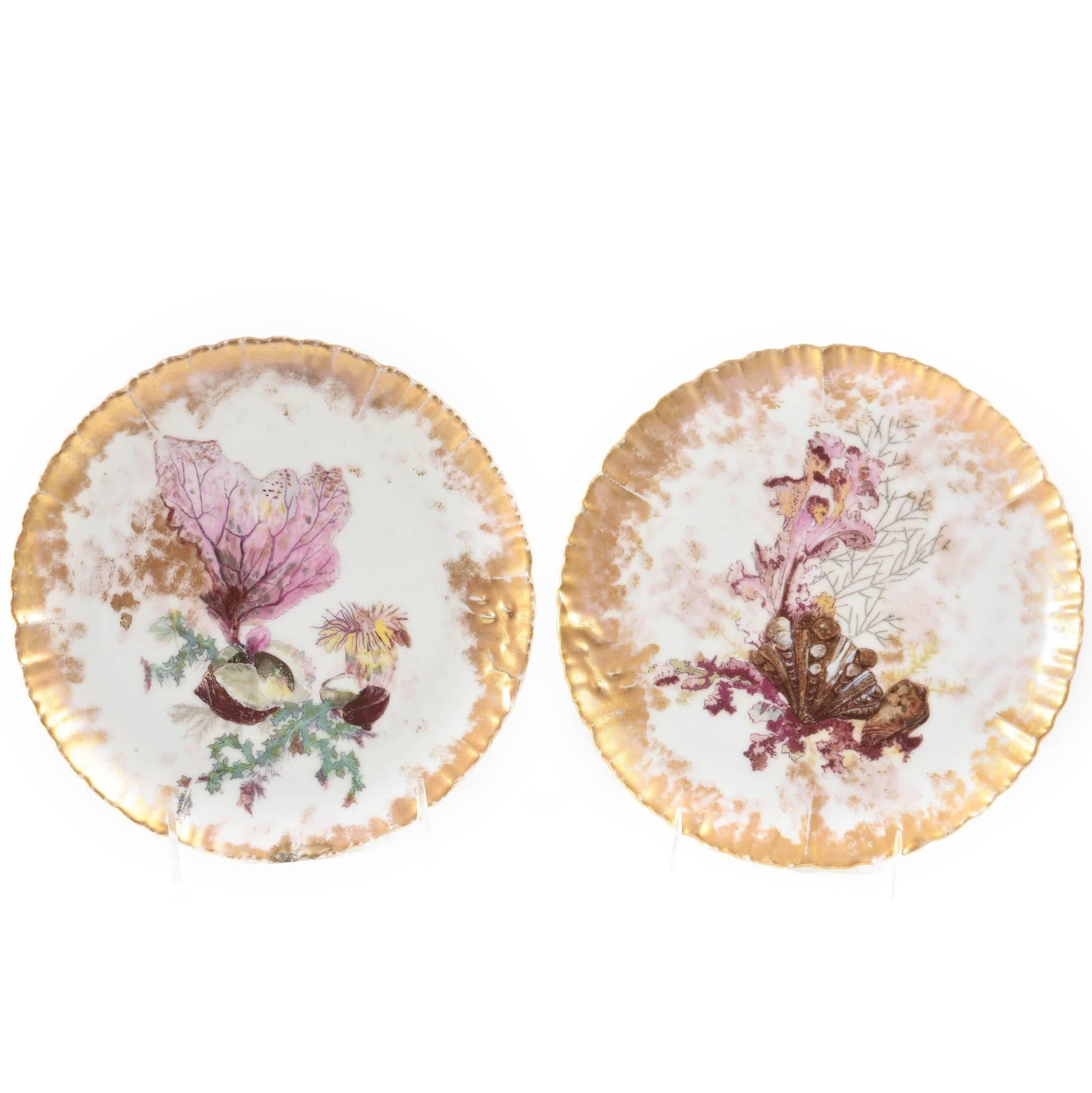 Pair of Antique French "Shell" Plates, Gilded Edges Aesthetic Style Great Design