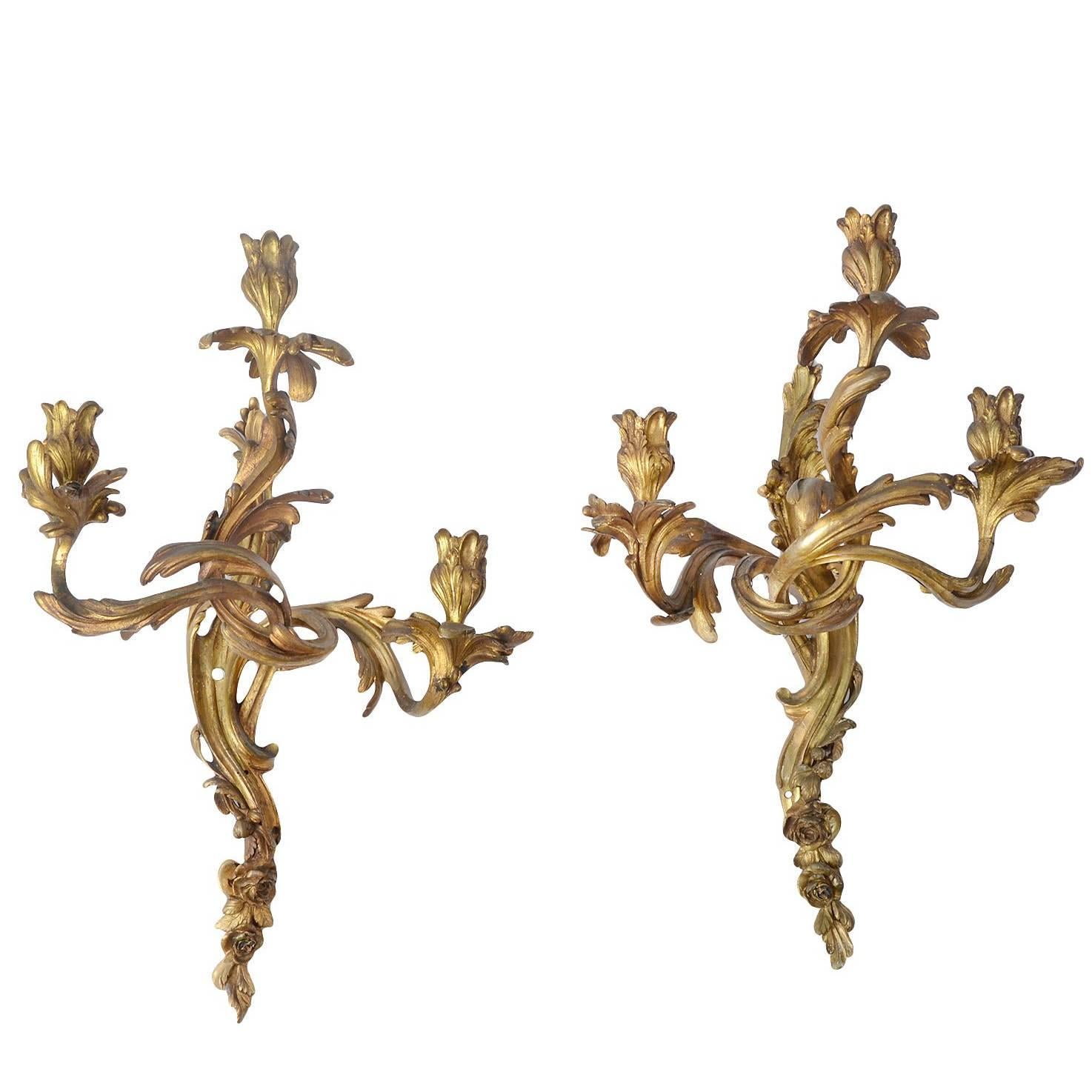 Pair of French Mid-19th Century Louis XV Style Gilt Bronze Sconces