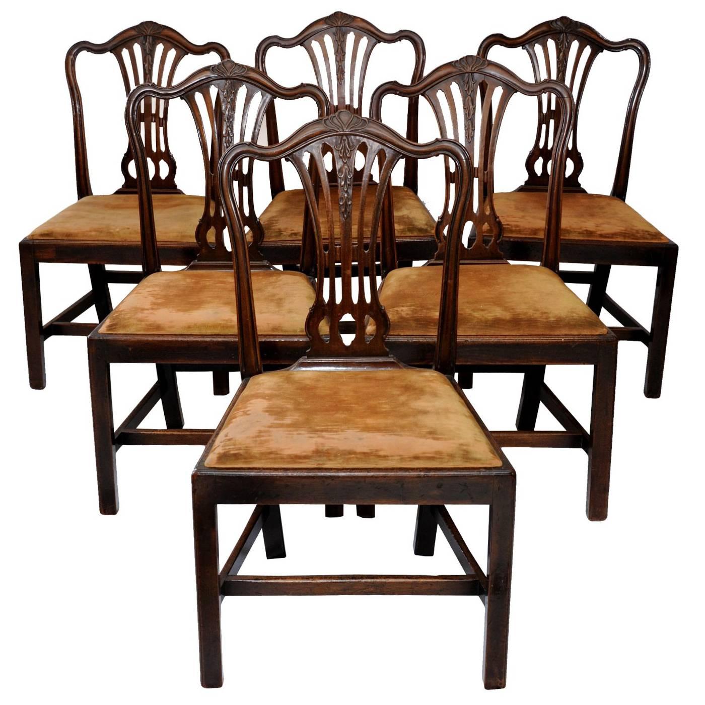 Set of Six English George III Chippendale Style Dining Chairs, circa 1760 For Sale