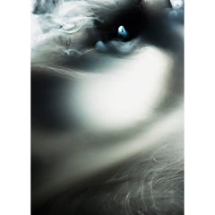 New And Custom Photography