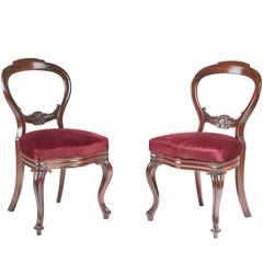 Pair of Victorian Balloon Back Chairs