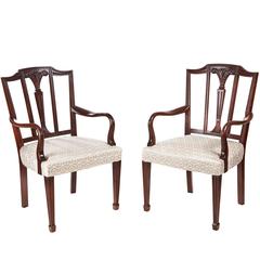 Used Oversized Pair of Mahogany Hepplewhite Style Desk Chairs