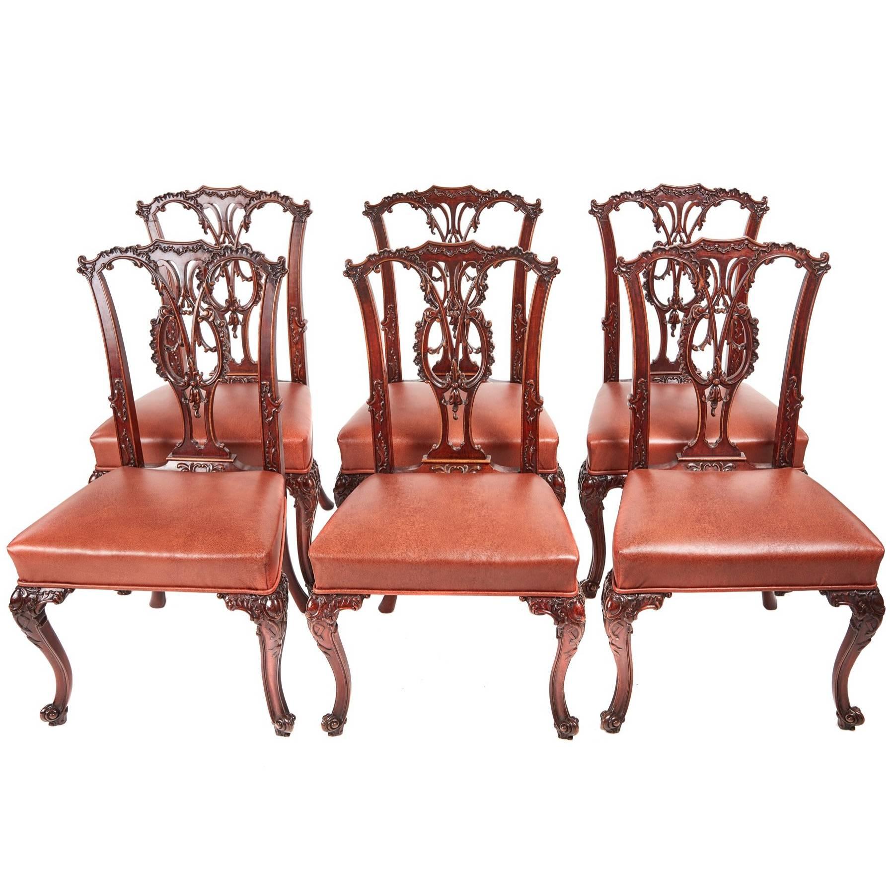 Fine Quality of Six Carved Mahogany Chippendale Style Dining Chairs