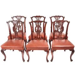 Fine Quality of Six Carved Mahogany Chippendale Style Dining Chairs