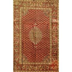 20th Century Vintage Palace Donegal Rug from Ireland