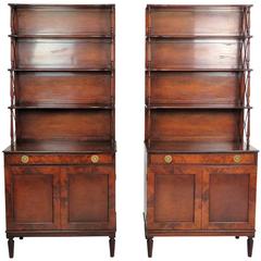 Pair of Regency Style Mahogany Bookcases or Étagères