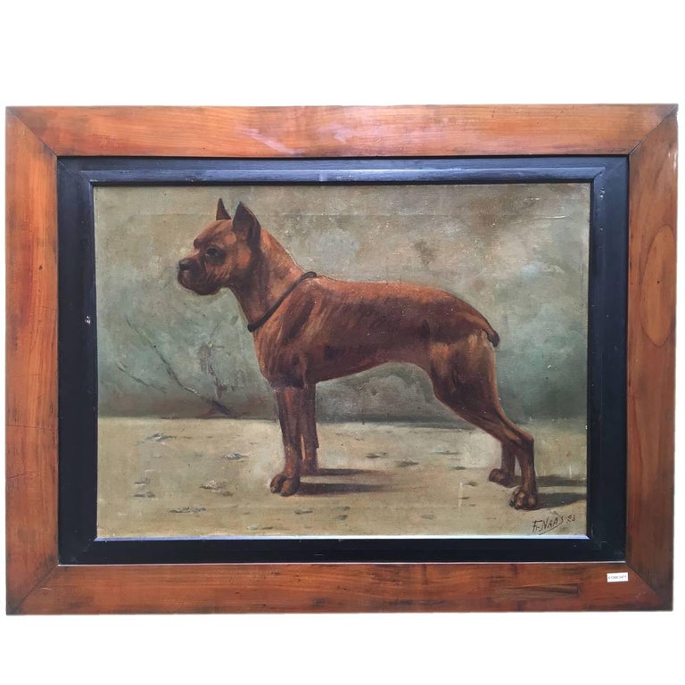 French Boxer Dog Painting By Fr Naas 1923 Oil On Canvas With