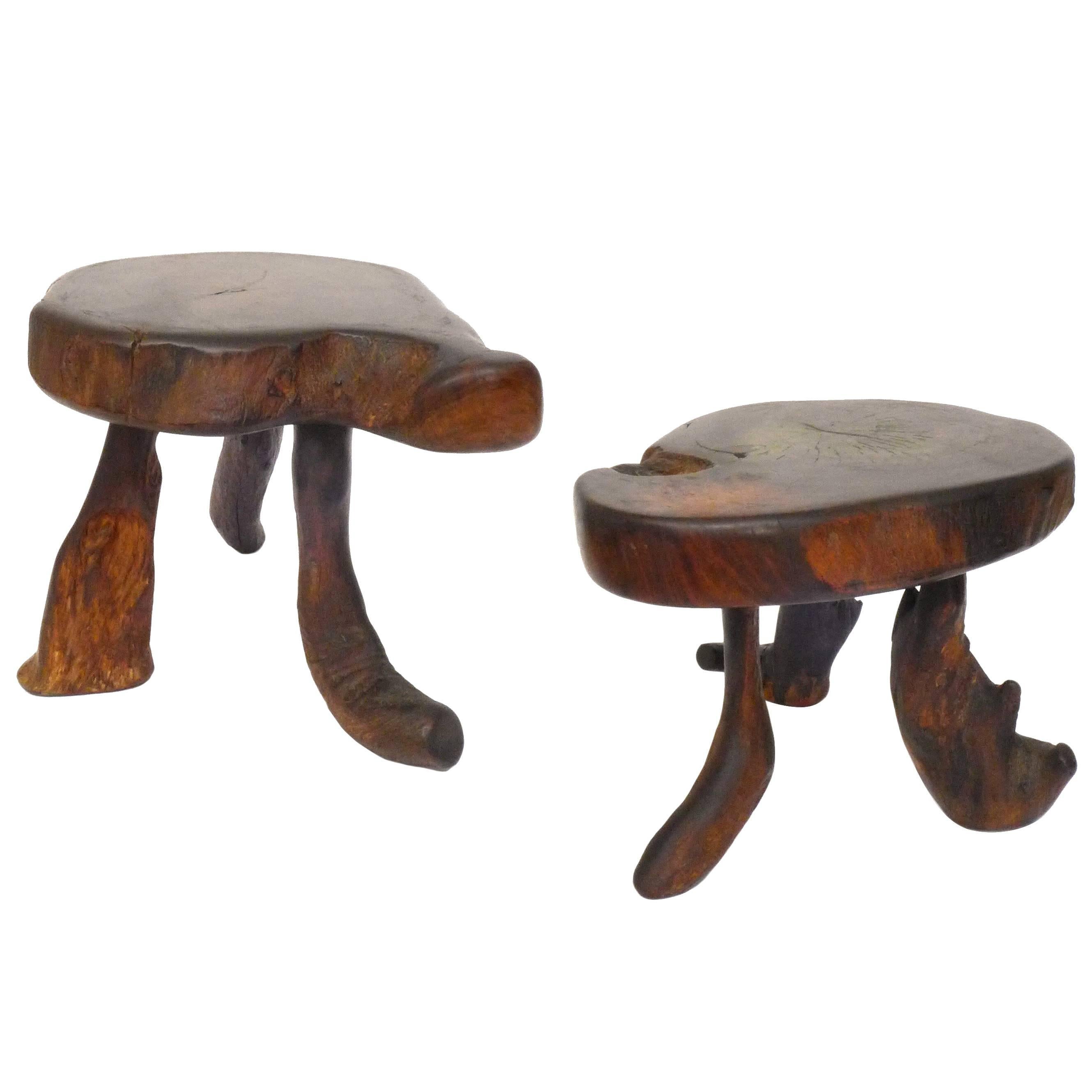 Pair of Organic Wood Stools or Side Tables