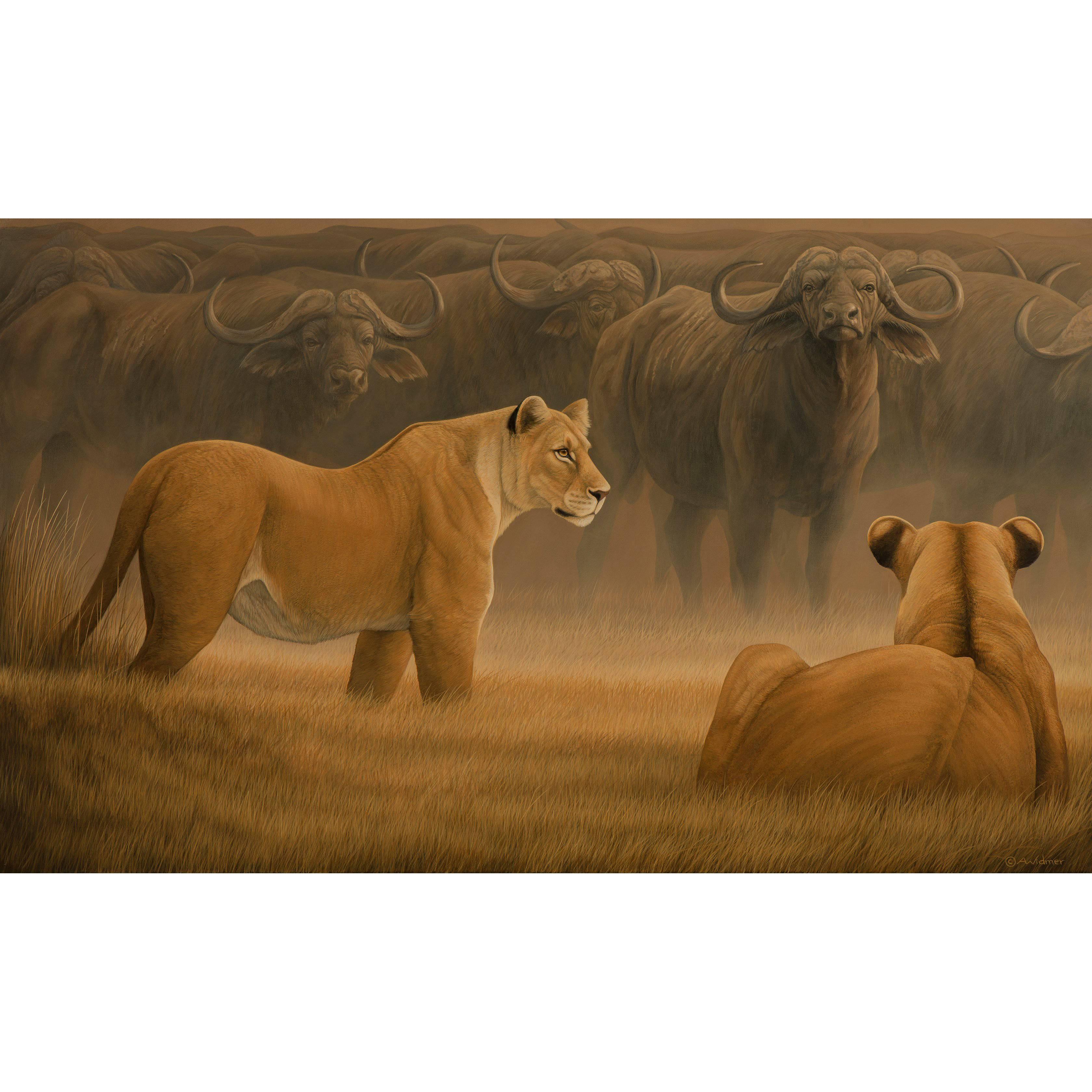 "Game Plan" Cape Town Buffalo and Lion Painting by Anna Widmer