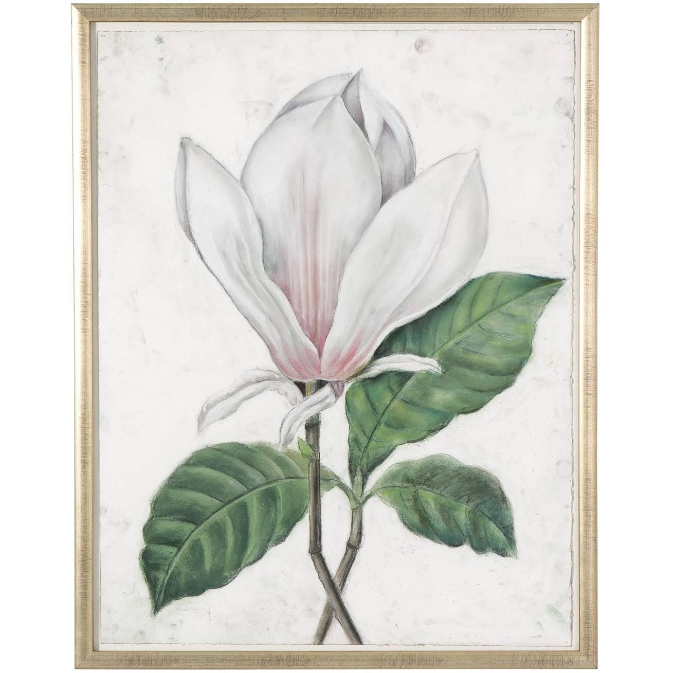 Contemporary Magnolia Drawing im Angebot