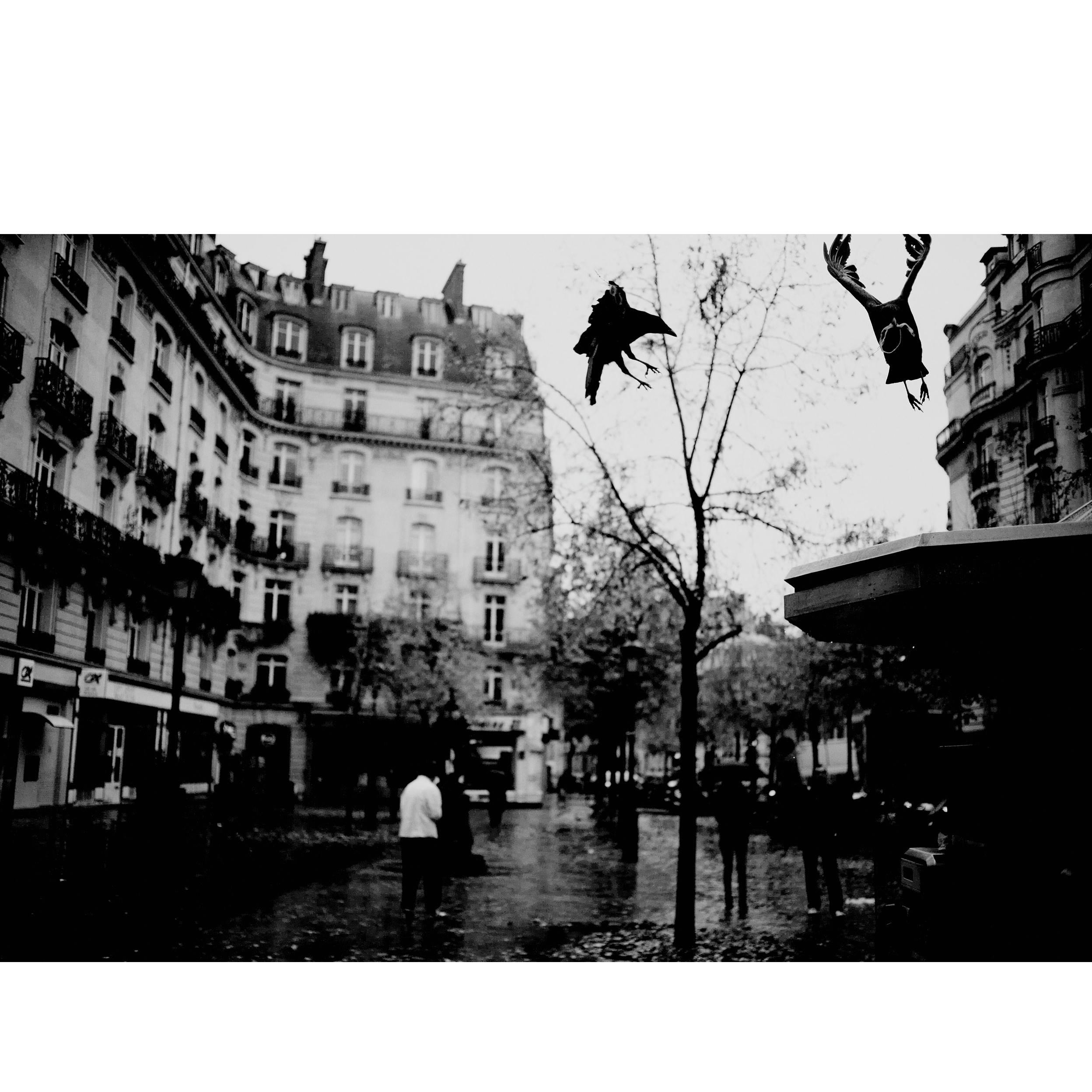 Black and White Photo of Paris by Joachim Lapotre For Sale