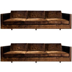 Harvey Probber Pair of Clean Line Sofas, 1965