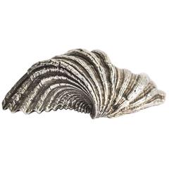 Buccellati Sterling Silver Encrusted Shell
