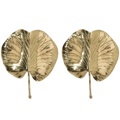 Pair of Chapman Leaf Sconces