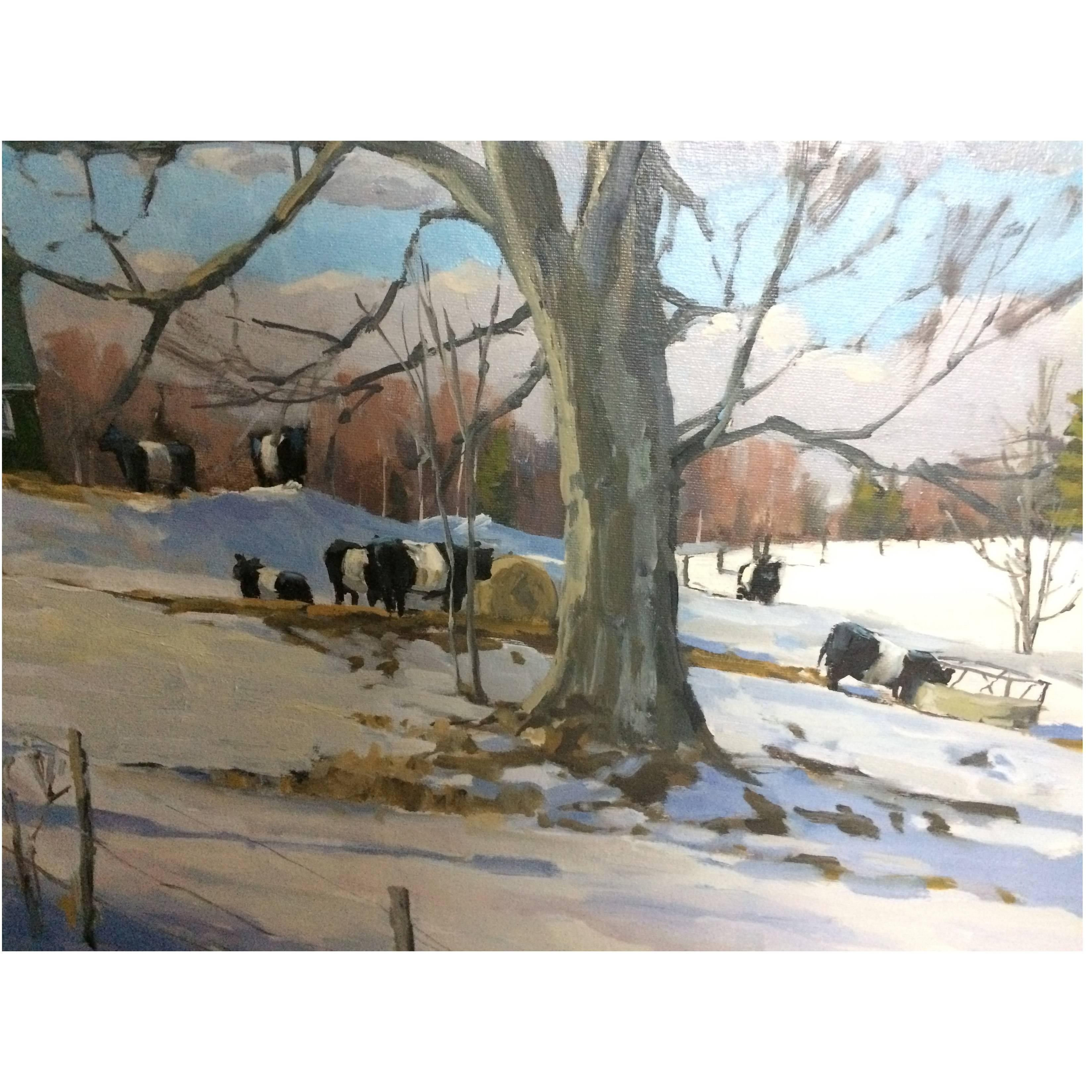 Gorgeous Plein Air Oil Painting of Belted Galloway Cows