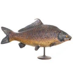 Large Early Paper Mache Didactic Model of Fish