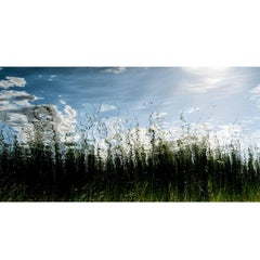 Large Landscape Color Photographic Print by Janet Cass 7