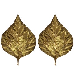 Pair of Large Brass Leaf Sconces by Tommaso Barbi 11