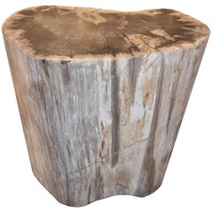 Andrianna Shamaris Petrified Wood Side Table