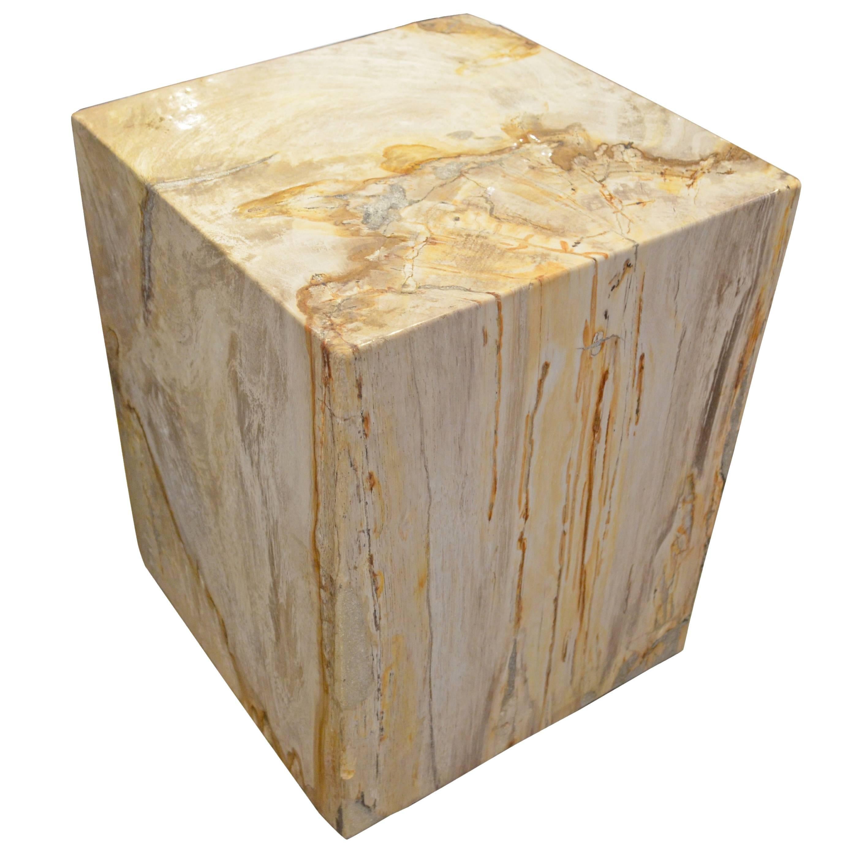 Andrianna Shamaris Petrified Wood Side Table