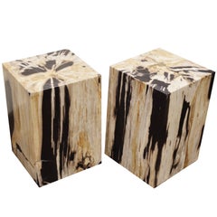 Andrianna Shamaris Petrified Wood Side Table