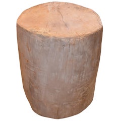 Andrianna Shamaris Petrified Wood Side Table
