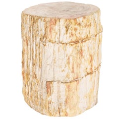 Round Petrified Wood Stool