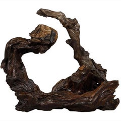 Large Modern Rootwood Sculpture