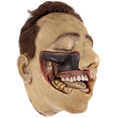Highly Detailed Early 1800s Wax Dental Model 12