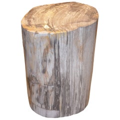 Petrified Wood Side Table 1