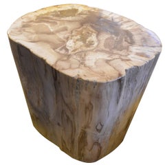 Andrianna Shamaris Petrified Wood Side Table