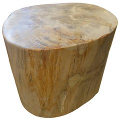 Andrianna Shamaris Petrified Wood Side Table
