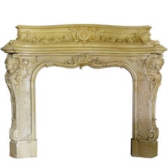Antique Napoleon III Style Fireplace, 19th Century